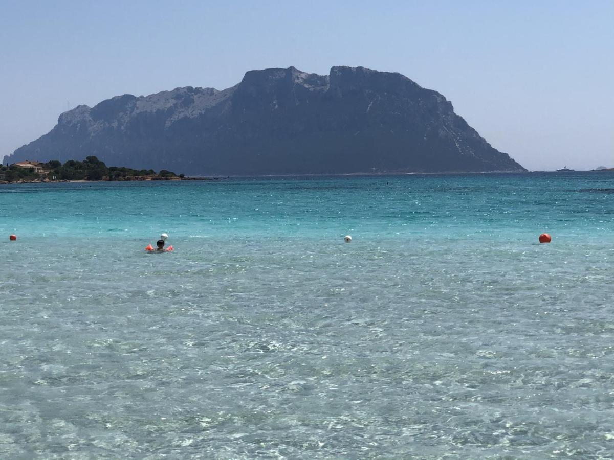 Iknos Guest House Olbia Dış mekan fotoğraf
